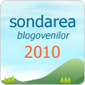 Sondarea Bloggerilor 2010
